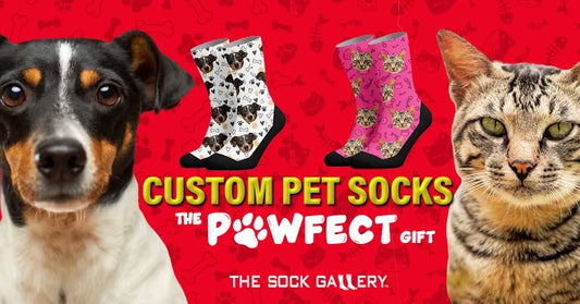 Get Your Tail Wagging with Custom Pet Socks from The Sock Gallery